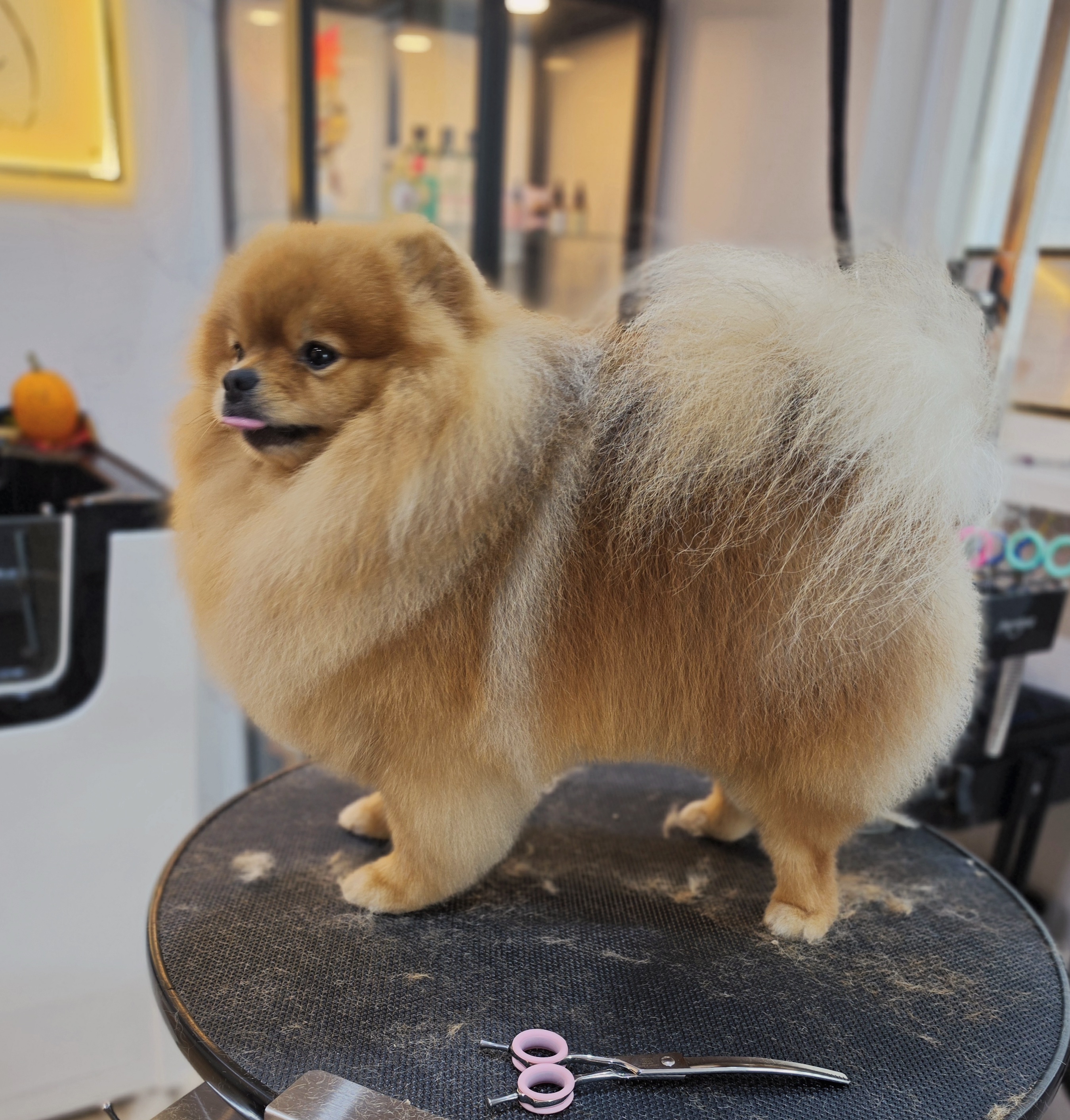 Uit de Salon – foto 14