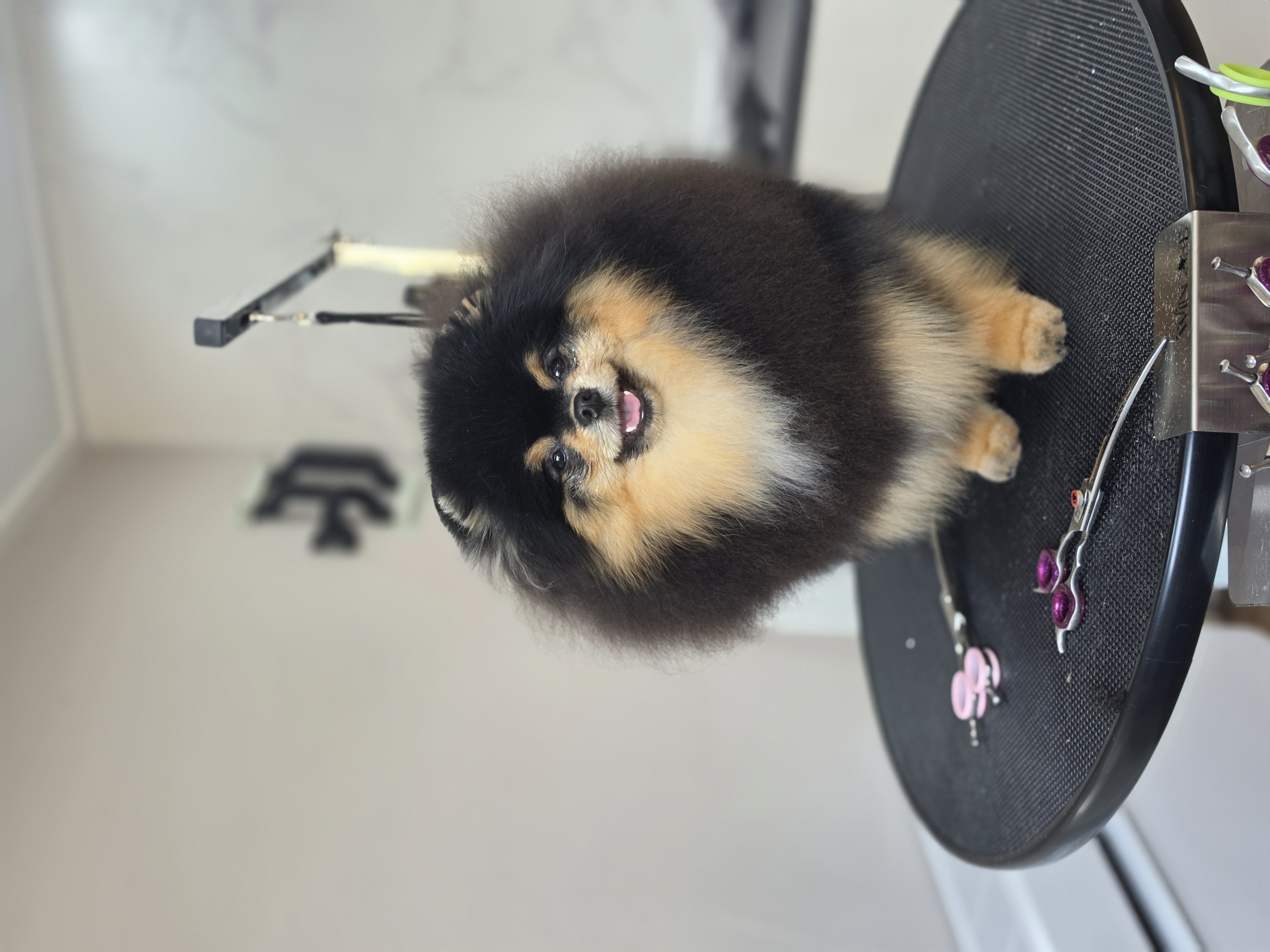 Uit de Salon – foto 6