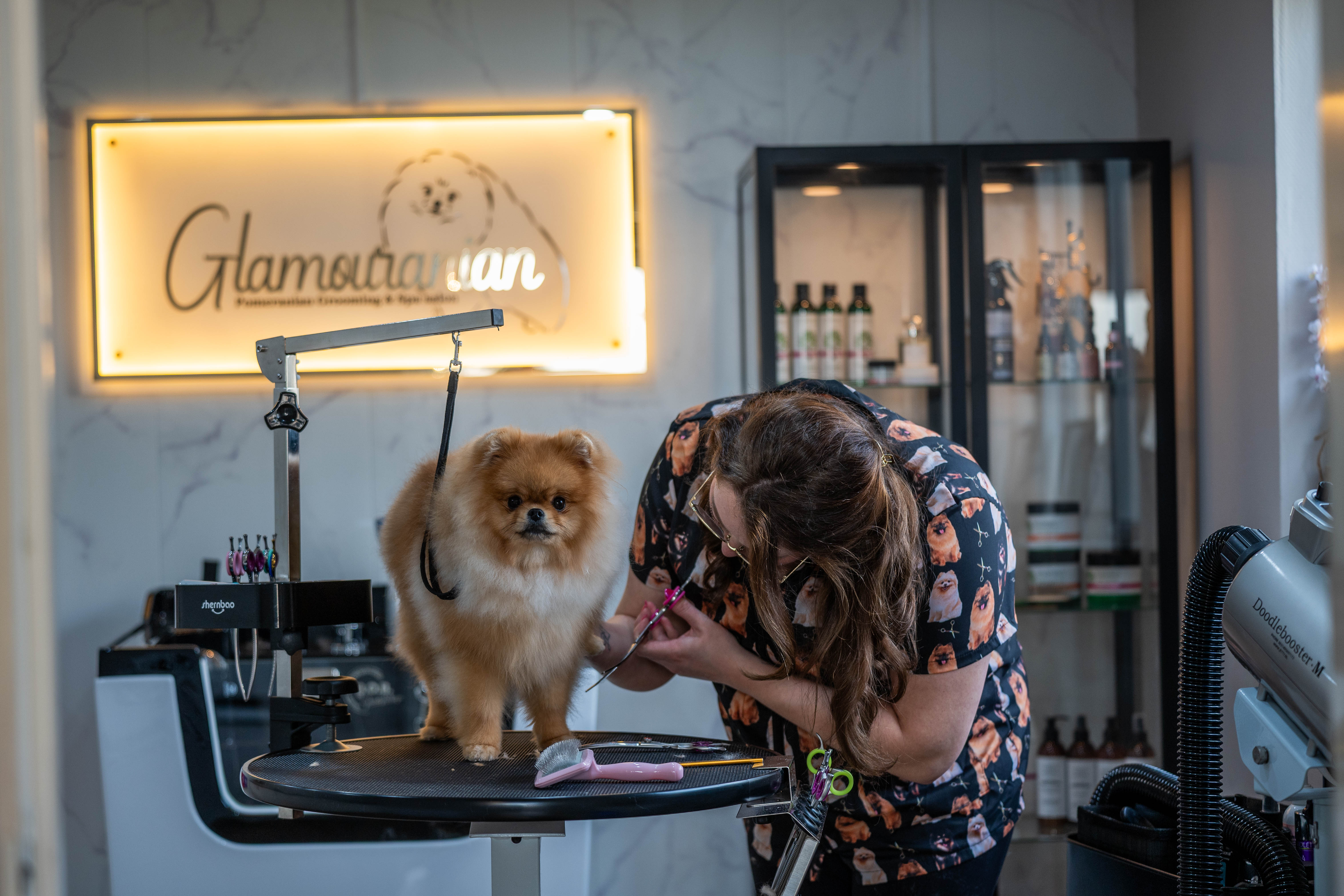 Uit de Salon – foto 17