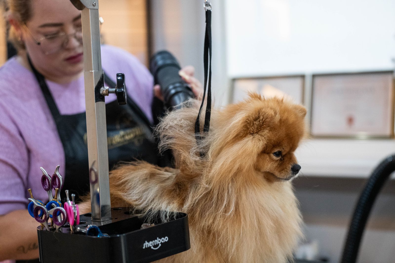Uit de Salon – foto 15